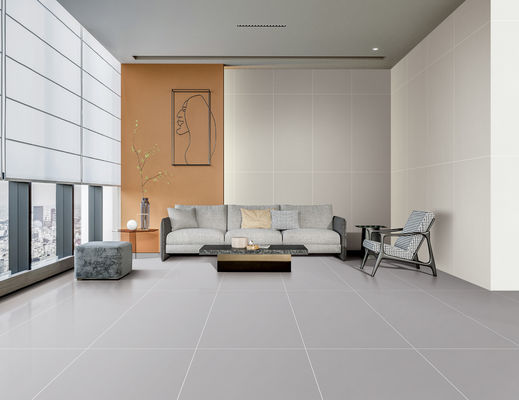 खरीदें 600x1200mm स्टाररी ग्लेज़ पोर्सिलेन फ्लोर टाइल AAA ग्रेड ग्रे ऑनलाइन निर्माण